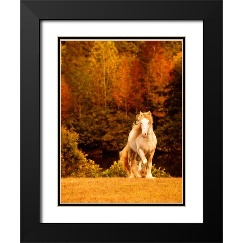 Horse Motion IX Black Modern Wood Framed Art Print with Double Matting by PHBurchett