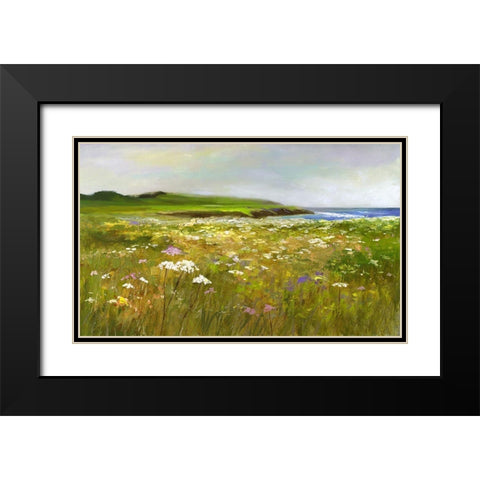 Montara Bluffs Black Modern Wood Framed Art Print with Double Matting by Finch, Sheila