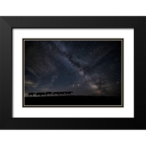 View At Rest I Black Modern Wood Framed Art Print with Double Matting by PHBurchett