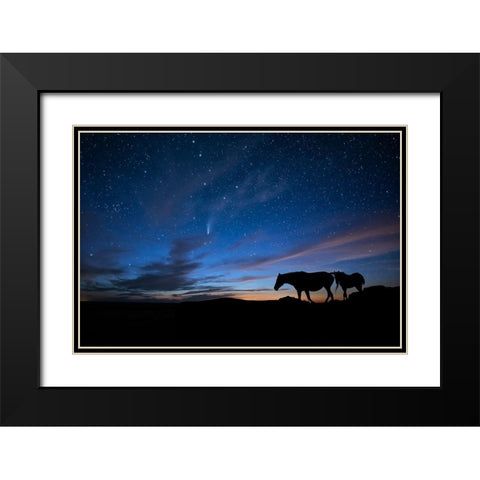 View At Rest II Black Modern Wood Framed Art Print with Double Matting by PHBurchett