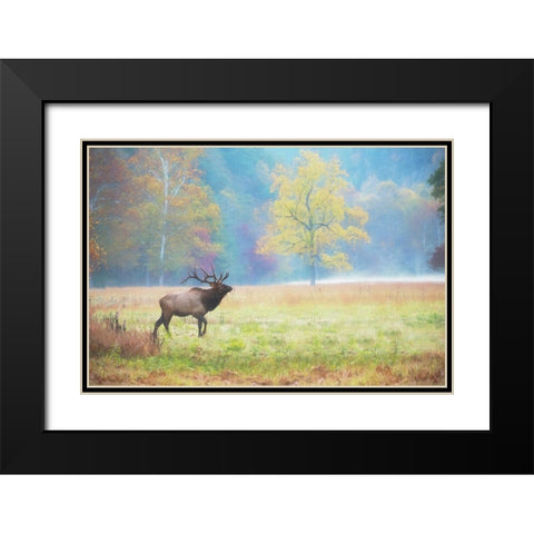View At Rest IV Black Modern Wood Framed Art Print with Double Matting by PHBurchett