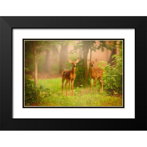 View At Rest V Black Modern Wood Framed Art Print with Double Matting by PHBurchett