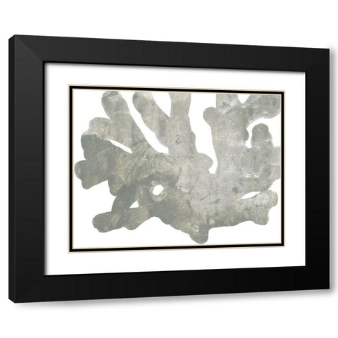 Stone Macro Coral IV Black Modern Wood Framed Art Print with Double Matting by Vess, June Erica
