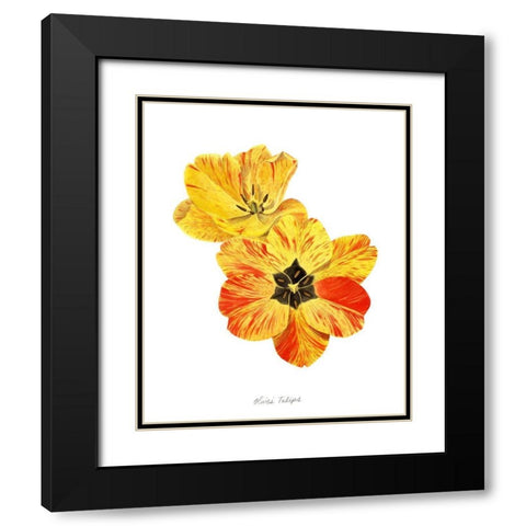 Olives Tulips I Black Modern Wood Framed Art Print with Double Matting by Popp, Grace