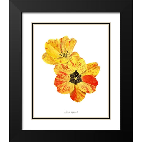 Olives Tulips I Black Modern Wood Framed Art Print with Double Matting by Popp, Grace