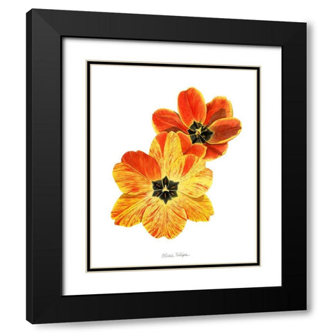 Olives Tulips II Black Modern Wood Framed Art Print with Double Matting by Popp, Grace