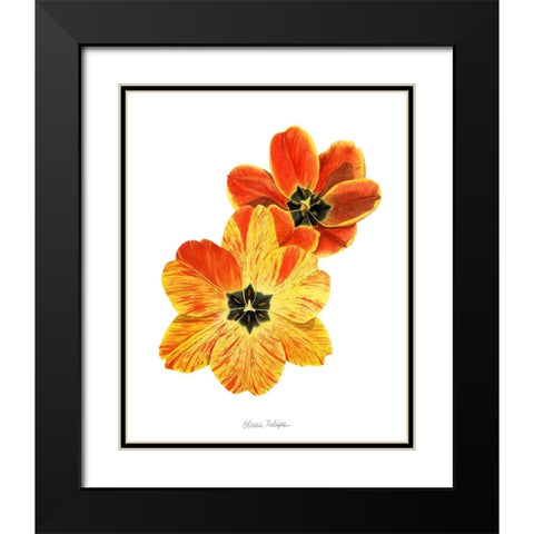 Olives Tulips II Black Modern Wood Framed Art Print with Double Matting by Popp, Grace