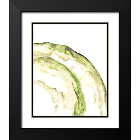 Lichen Halo VI Black Modern Wood Framed Art Print with Double Matting by Vess, June Erica