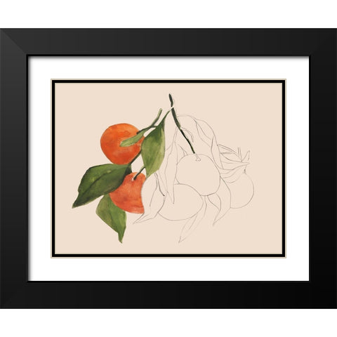 Tangerine Sketch II Black Modern Wood Framed Art Print with Double Matting by Warren, Annie
