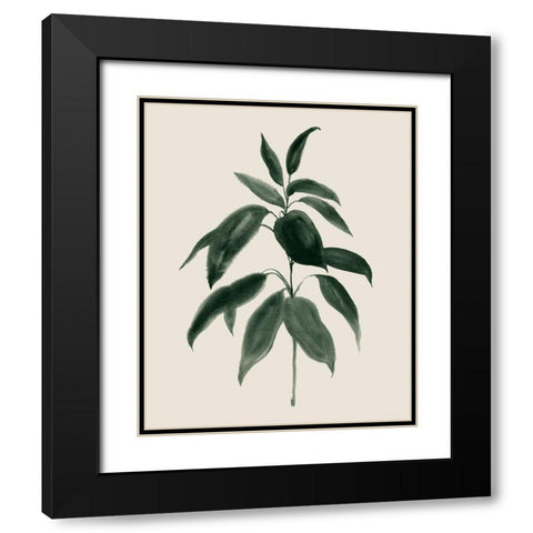 Soft Greenery II Black Modern Wood Framed Art Print with Double Matting by Popp, Grace