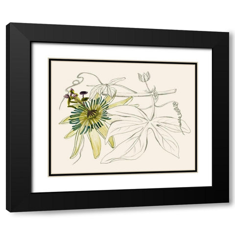 Passionflower I Black Modern Wood Framed Art Print with Double Matting by Wang, Melissa