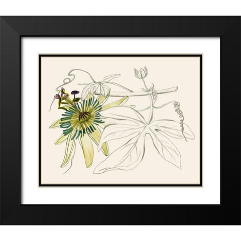 Passionflower I Black Modern Wood Framed Art Print with Double Matting by Wang, Melissa