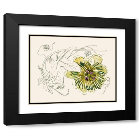 Passionflower II Black Modern Wood Framed Art Print with Double Matting by Wang, Melissa