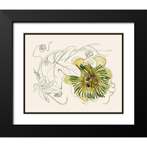 Passionflower II Black Modern Wood Framed Art Print with Double Matting by Wang, Melissa