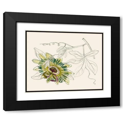 Passionflower III Black Modern Wood Framed Art Print with Double Matting by Wang, Melissa