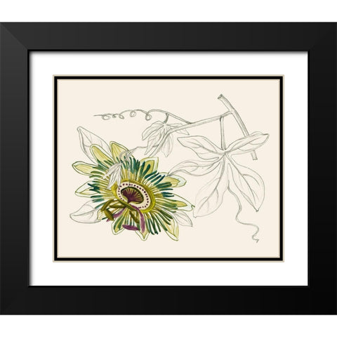 Passionflower III Black Modern Wood Framed Art Print with Double Matting by Wang, Melissa