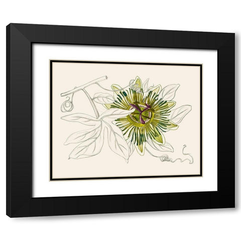 Passionflower IV Black Modern Wood Framed Art Print with Double Matting by Wang, Melissa