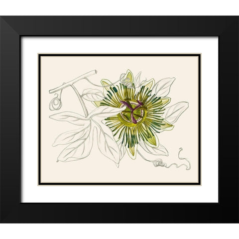 Passionflower IV Black Modern Wood Framed Art Print with Double Matting by Wang, Melissa