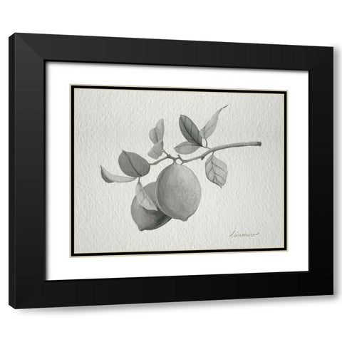 Limonero I Black Modern Wood Framed Art Print with Double Matting by Popp, Grace