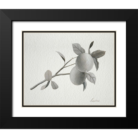 Limonero II Black Modern Wood Framed Art Print with Double Matting by Popp, Grace