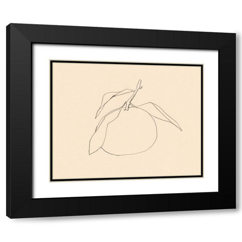 Citrus Contour I Black Modern Wood Framed Art Print with Double Matting by Barnes, Victoria