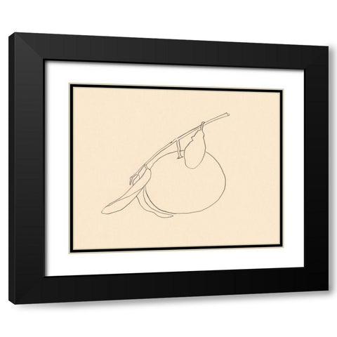 Citrus Contour II Black Modern Wood Framed Art Print with Double Matting by Barnes, Victoria