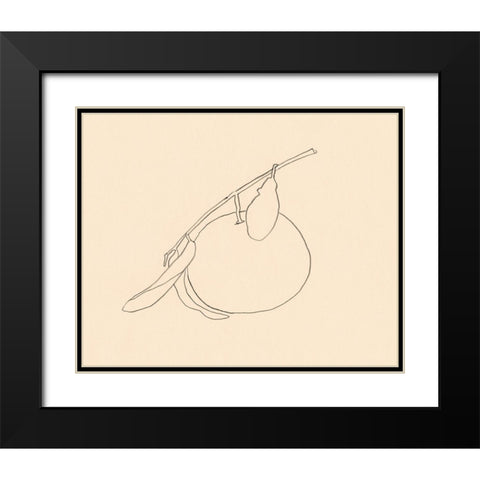 Citrus Contour II Black Modern Wood Framed Art Print with Double Matting by Barnes, Victoria
