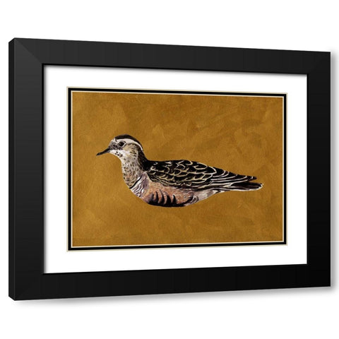 Feathered Friend I Black Modern Wood Framed Art Print with Double Matting by Wang, Melissa