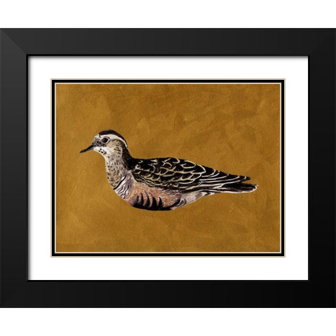 Feathered Friend I Black Modern Wood Framed Art Print with Double Matting by Wang, Melissa