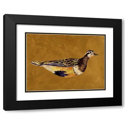 Feathered Friend II Black Modern Wood Framed Art Print with Double Matting by Wang, Melissa