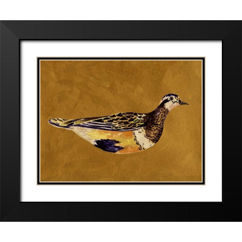 Feathered Friend II Black Modern Wood Framed Art Print with Double Matting by Wang, Melissa