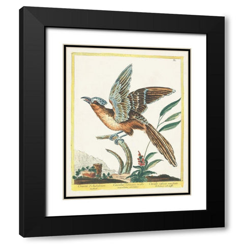 Pastel Birds IV Black Modern Wood Framed Art Print with Double Matting by Unknown