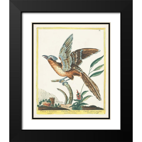 Pastel Birds IV Black Modern Wood Framed Art Print with Double Matting by Unknown