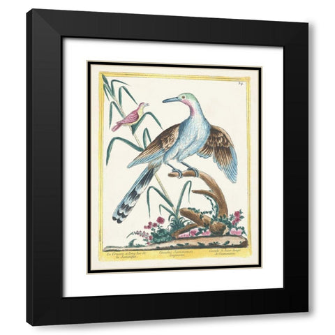 Pastel Birds V Black Modern Wood Framed Art Print with Double Matting by Unknown
