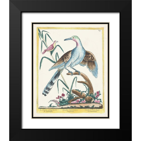 Pastel Birds V Black Modern Wood Framed Art Print with Double Matting by Unknown