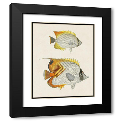Yellow And Grey Fish I Black Modern Wood Framed Art Print with Double Matting by Unknown
