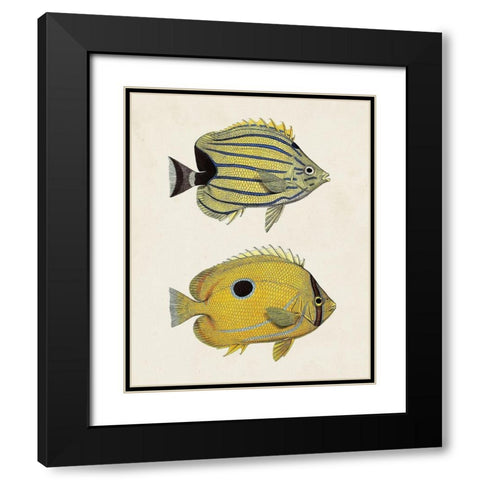 Yellow And Grey Fish III Black Modern Wood Framed Art Print with Double Matting by Unknown