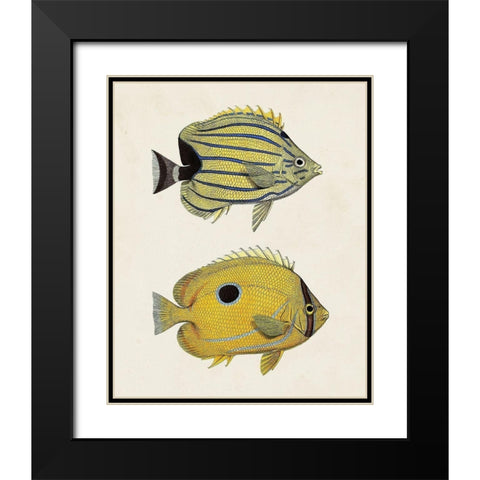 Yellow And Grey Fish III Black Modern Wood Framed Art Print with Double Matting by Unknown