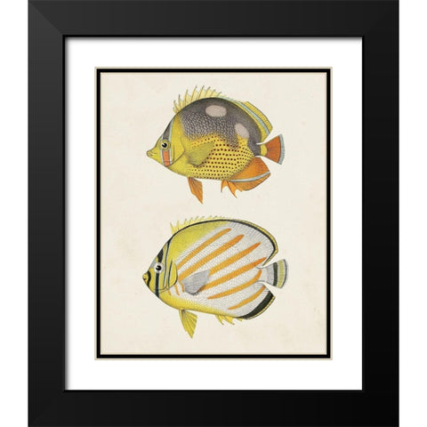 Yellow And Grey Fish IV Black Modern Wood Framed Art Print with Double Matting by Unknown