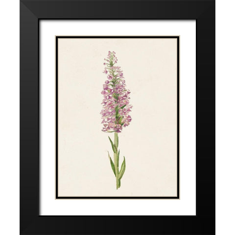 Mauve Garden Flowers I Black Modern Wood Framed Art Print with Double Matting by Unknown