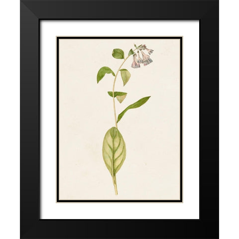 Mauve Garden Flowers IV Black Modern Wood Framed Art Print with Double Matting by Unknown