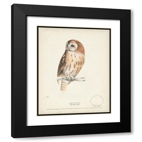 Tawny Owl Black Modern Wood Framed Art Print with Double Matting by Meyer, H.L.