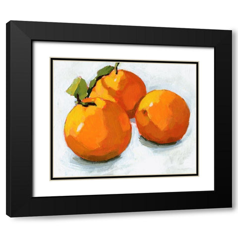 Citrus Grouping I Black Modern Wood Framed Art Print with Double Matting by Barnes, Victoria