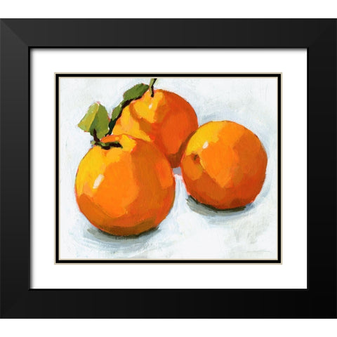 Citrus Grouping I Black Modern Wood Framed Art Print with Double Matting by Barnes, Victoria