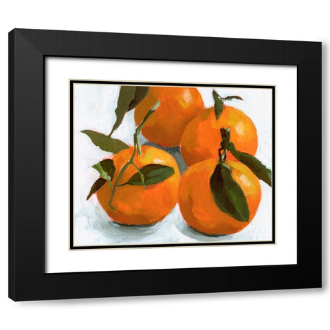 Citrus Grouping II Black Modern Wood Framed Art Print with Double Matting by Barnes, Victoria