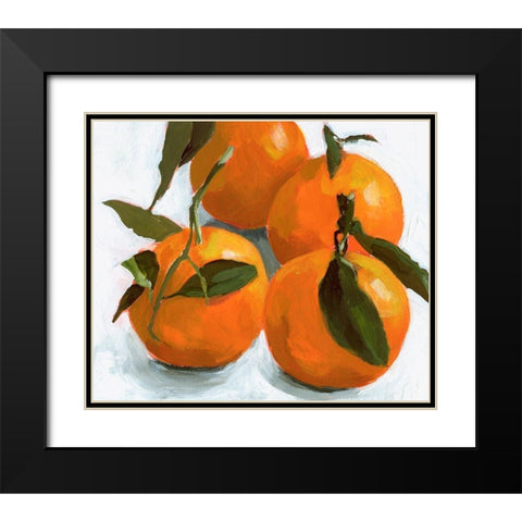 Citrus Grouping II Black Modern Wood Framed Art Print with Double Matting by Barnes, Victoria