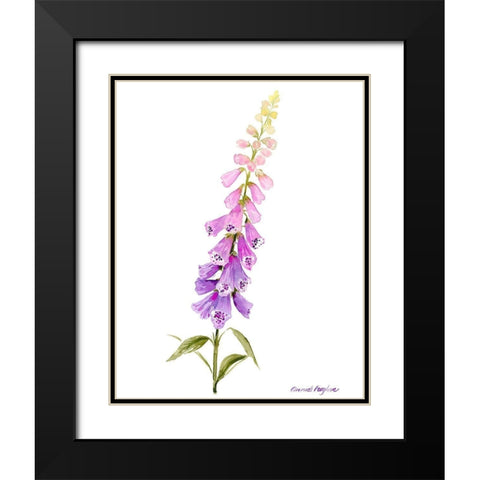 Annies Foxglove I Black Modern Wood Framed Art Print with Double Matting by Popp, Grace