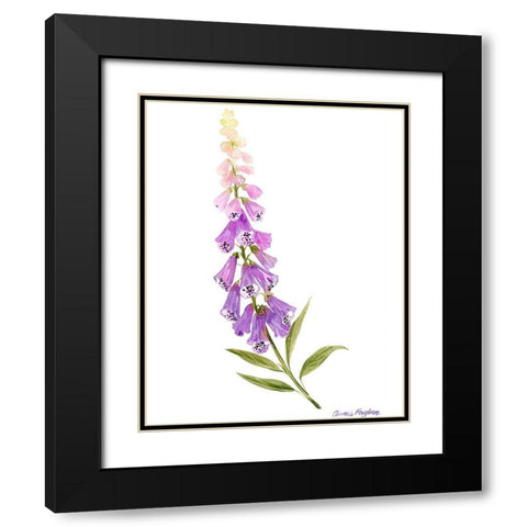 Annies Foxglove II Black Modern Wood Framed Art Print with Double Matting by Popp, Grace