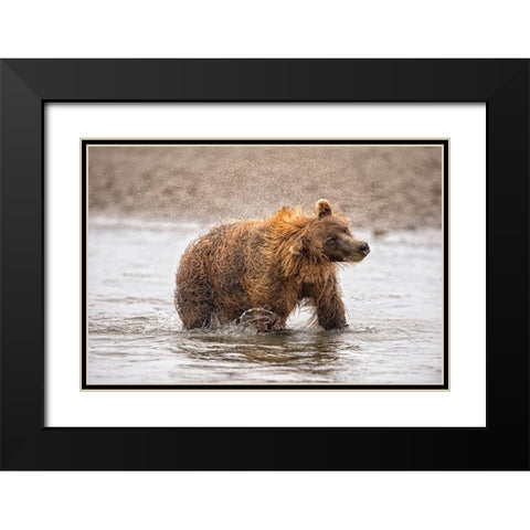 Photography Study Shake it Off Black Modern Wood Framed Art Print with Double Matting by PHBurchett