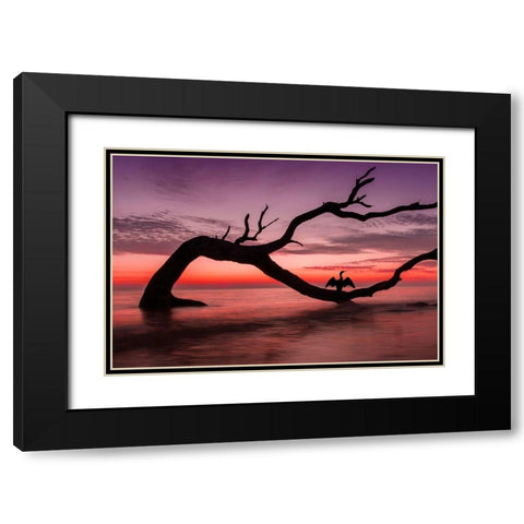 Photography Study Sunset Beach Black Modern Wood Framed Art Print with Double Matting by PHBurchett